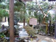 �Ԗ�₳��ʐ^