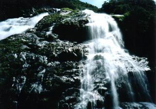 ���v���ʐ^